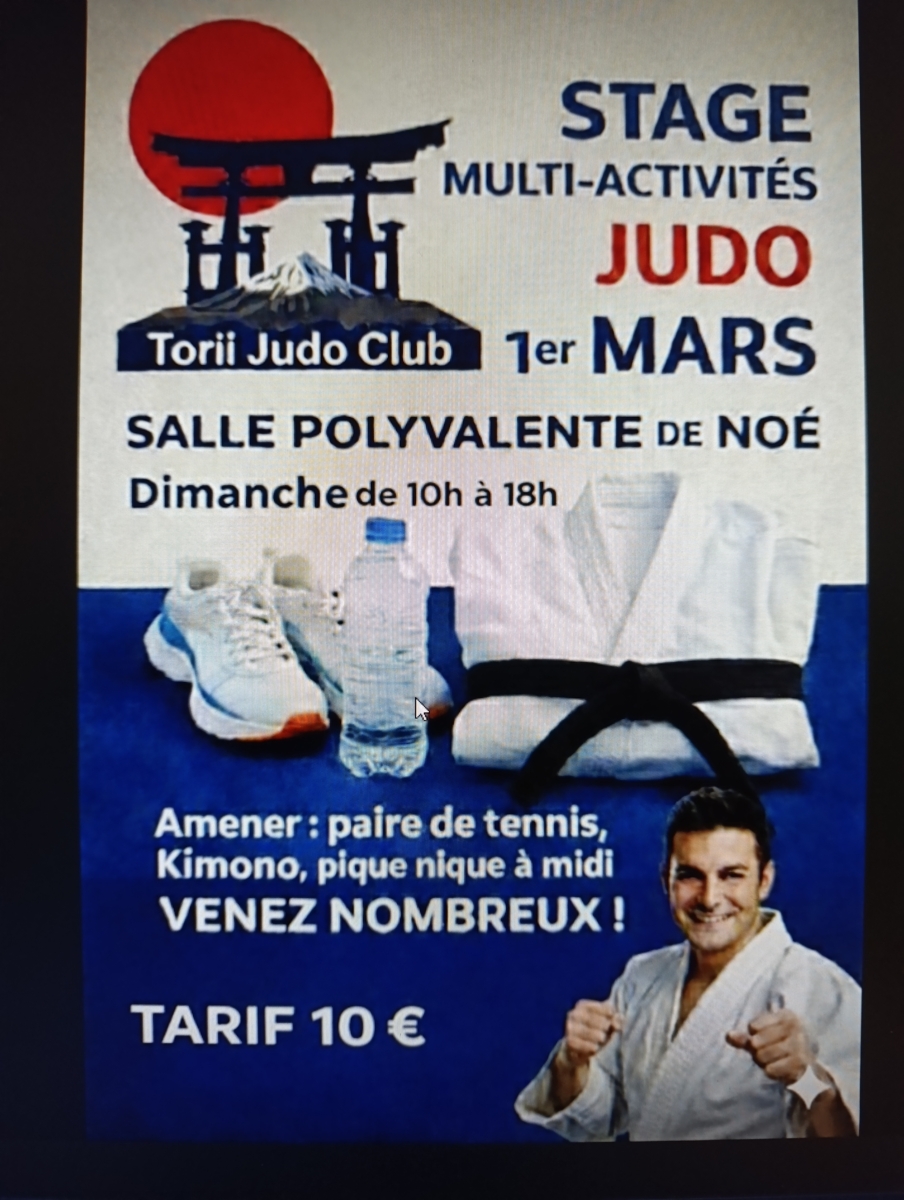 Stage Judo et multi activités