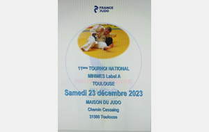 Tournoi National Minimes de Toulouse