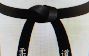 Stage Exceptionnel Maitre Seguin 8°dan