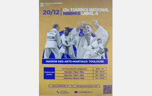 Tournoi National Minimes de Toulouse