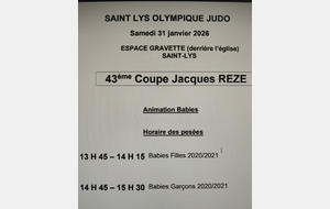 Animatiin Eveil Judo de Saint Lys